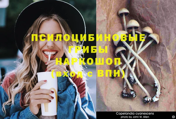 винт Абаза